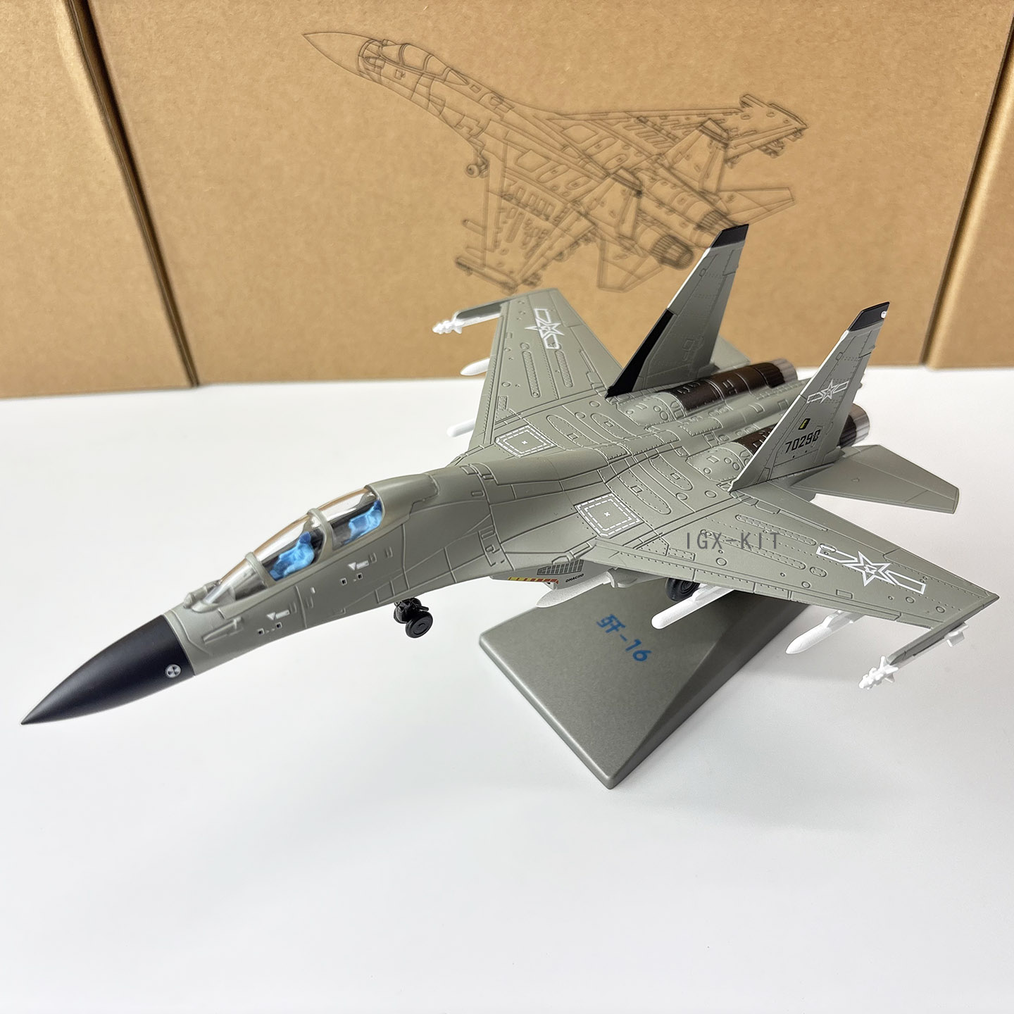Model Kit China - 1:100 Scale China Air Force J16