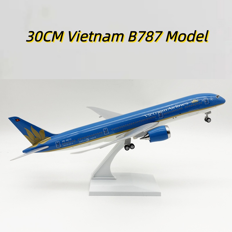 30cm Vietnam B787 Plane Model  - Model Kit Plane 评论和价格