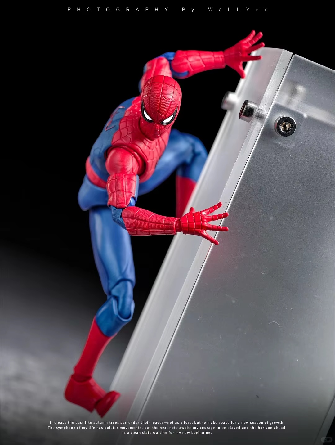 In Stock Spider-Man Champion C - Model Kit Brands 评论和价格