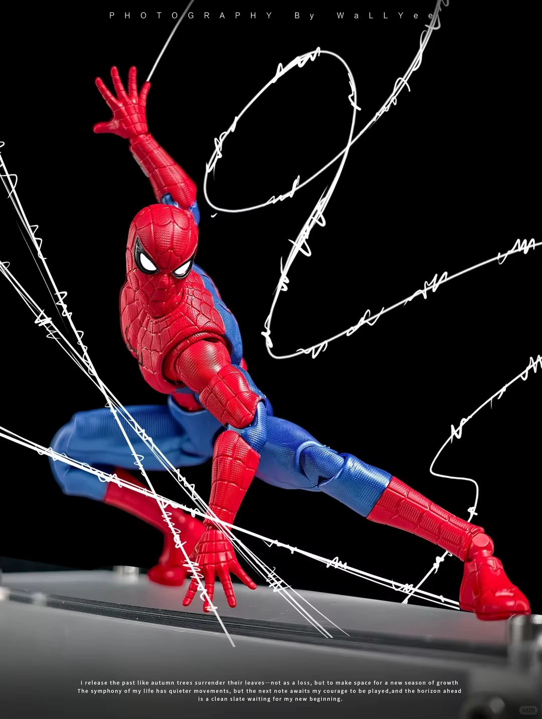 In Stock Spider-Man Champion C - Model Kit Brands 评论和价格