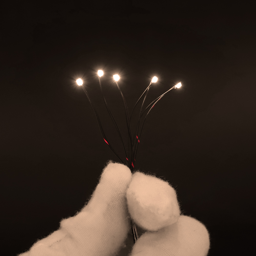 10pcs/Set Micro LED Lamp Chips - Model Kit Locomotive 评论和价格