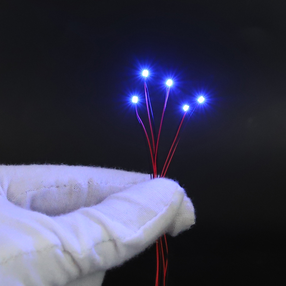 10pcs/Set Micro LED Lamp Chips - Model Kit Locomotive 评论和价格